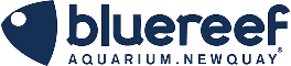 bluereefaquarium.banc.dev
