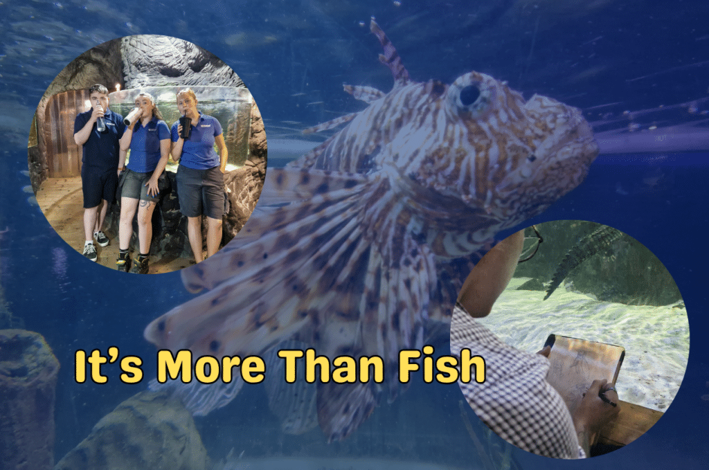 Blue Reef Aquarium: It’s About More Than Fish