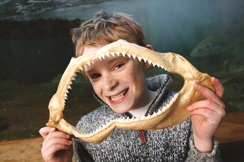 BLUE REEF WINNERS SEE FISH DESIGNS  TURNED IN TO GLASS WORKS OF ART