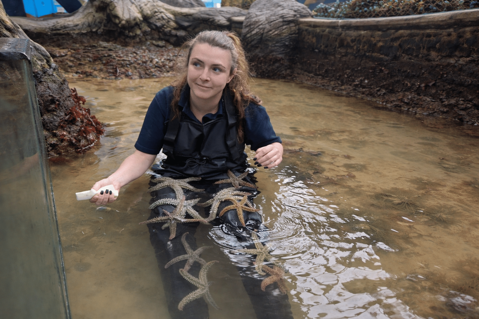 The People Who Talk to Fish: Inside the Life of an Aquarist