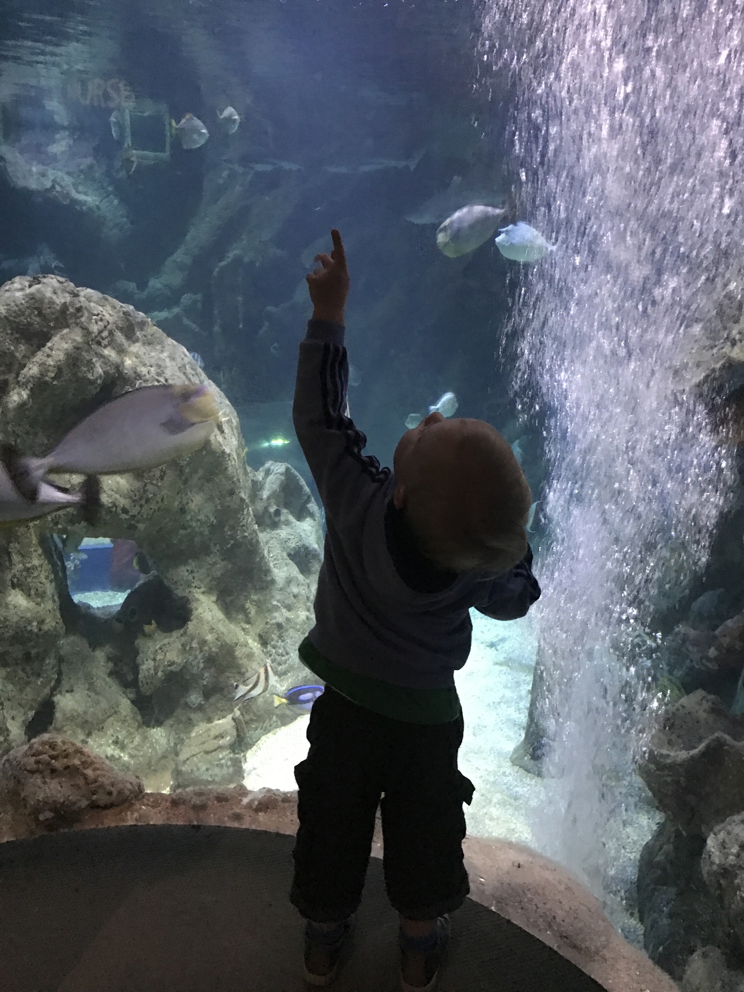TODDLER TUESDAYS ARE BACK!