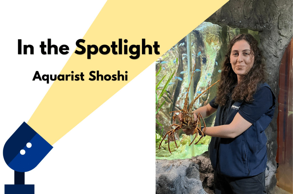 In the Spotlight: Aquarist Shoshi