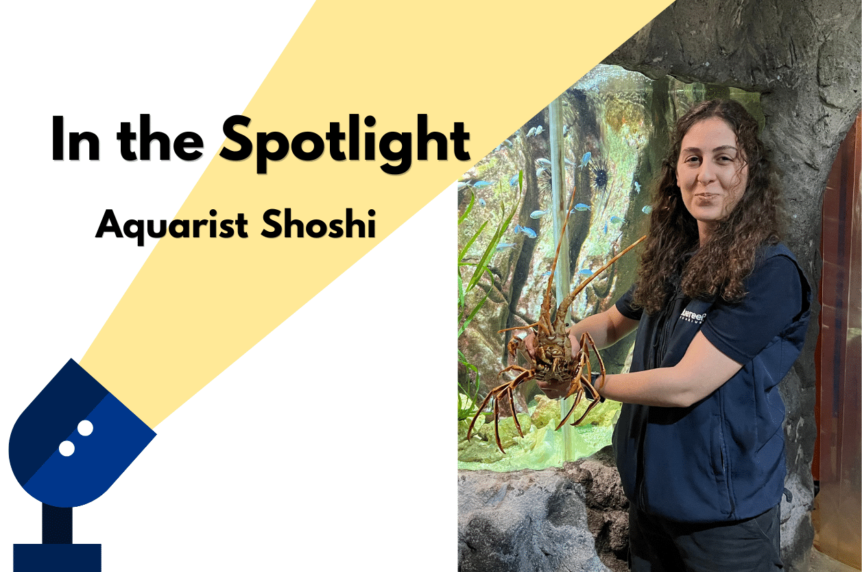 In the Spotlight: Aquarist Owen