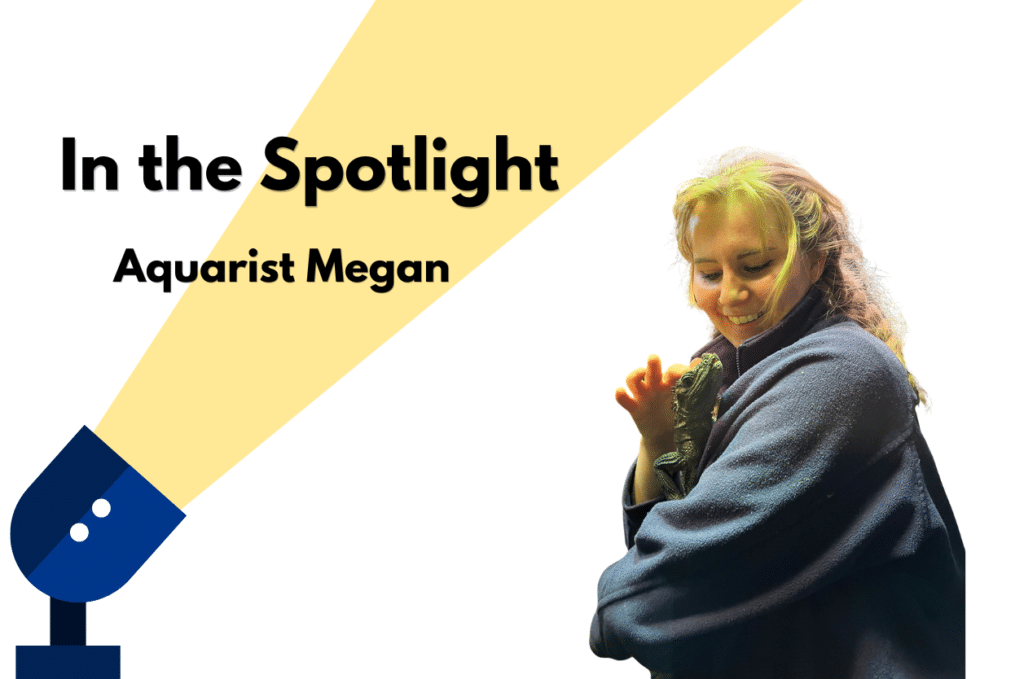 In the Spotlight: Aquarist Abby