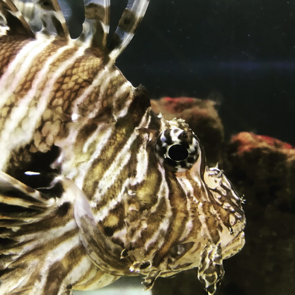 CELEBRATION OF SCIENCE AT BLUE REEF AQUARIUM
