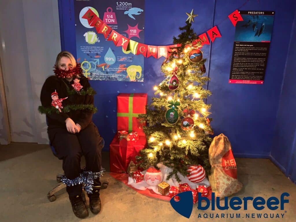 Fishmas at Blue Reef Aquarium Newquay!