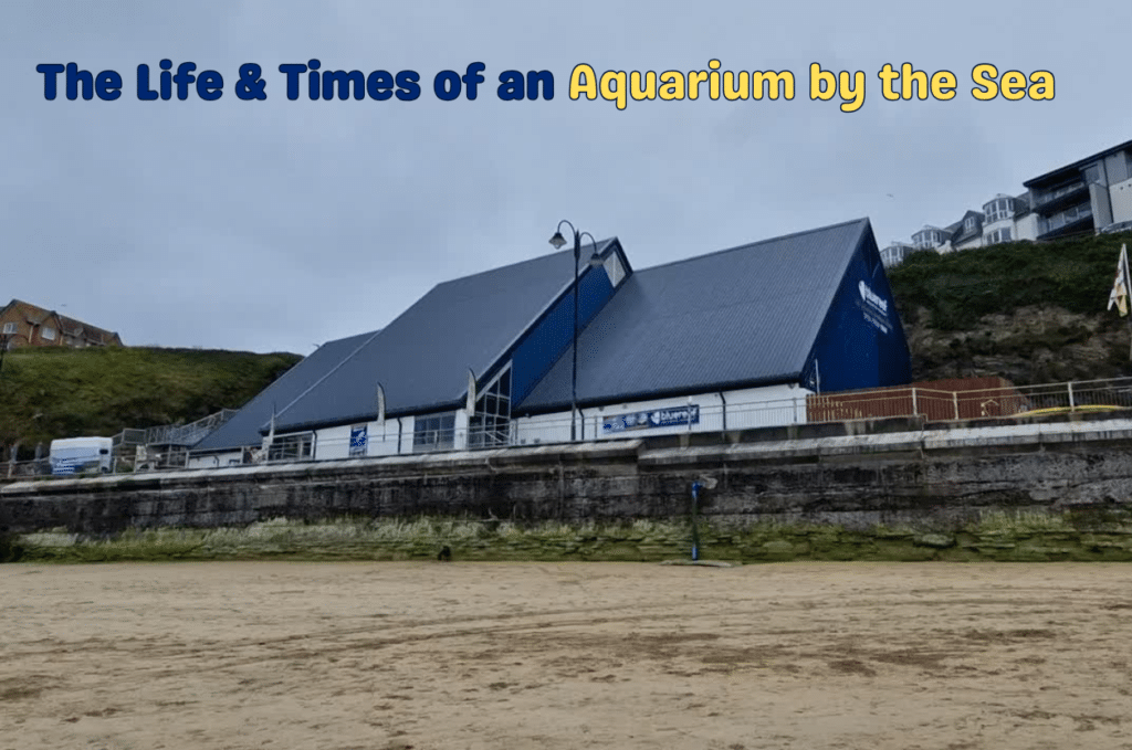 The Life & Times of an Aquarium by the Sea