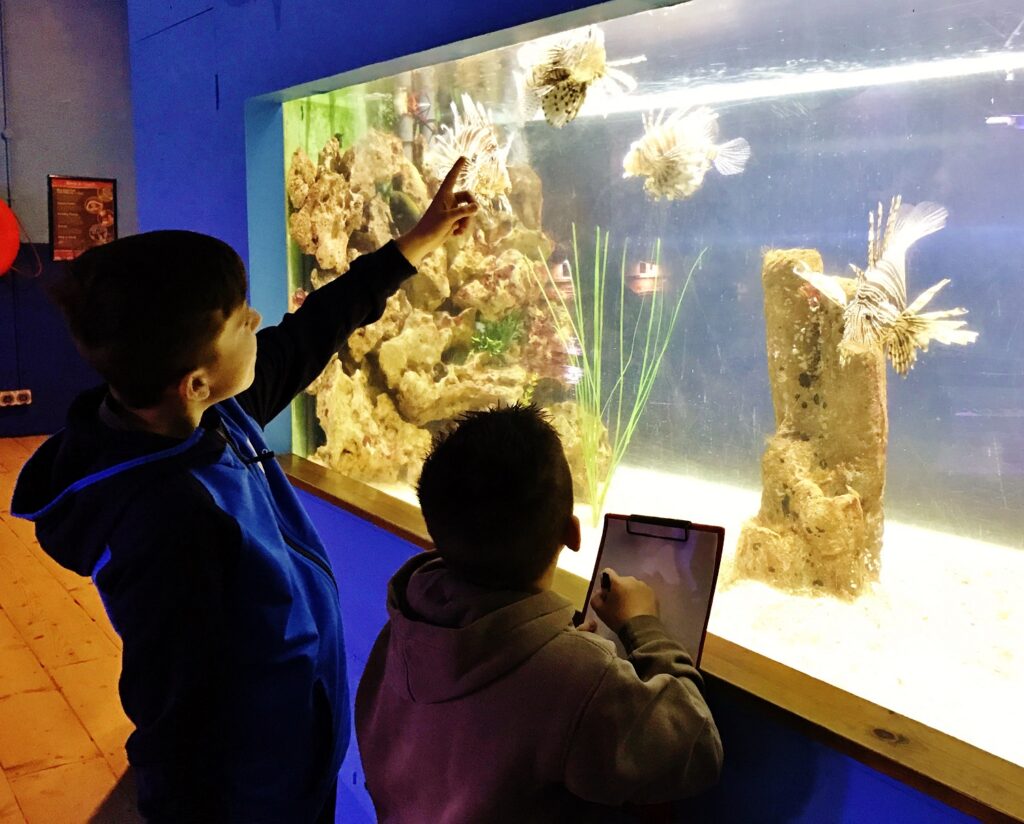 Christmas Gift Ideas with Blue Reef Aquarium Newquay