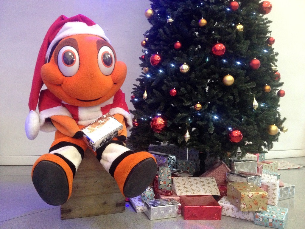 BLUE REEF TO PLAY HOST TO FUN RUNNING FATHER CHRISTMASES
