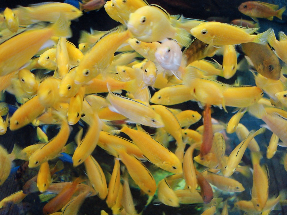 COME AND TAKE PART IN OUR FISHY STOCK TAKE FOR YOUR CHANCE TO WIN!