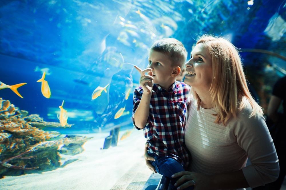 ‘NAUTICAL NIPPERS’ AT BLUE REEF AQUARIUM