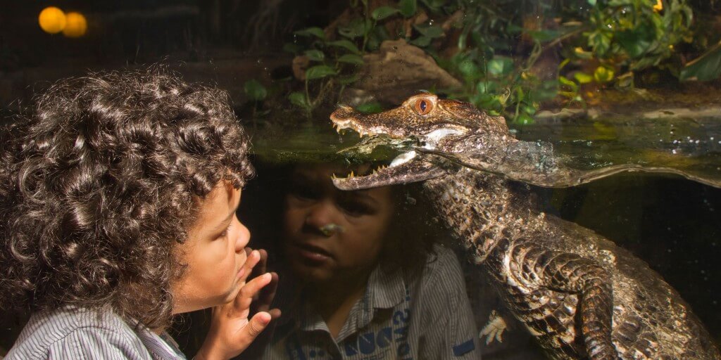‘TODDLER-FRIENDLY’ TUESDAYS AT BLUE REEF AQUARIUM
